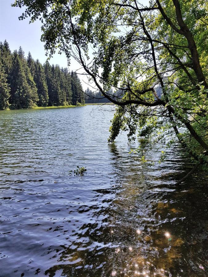 Grossdorf Ferienwohnung Waldsuite Im Harz Goslar Eksteriør billede