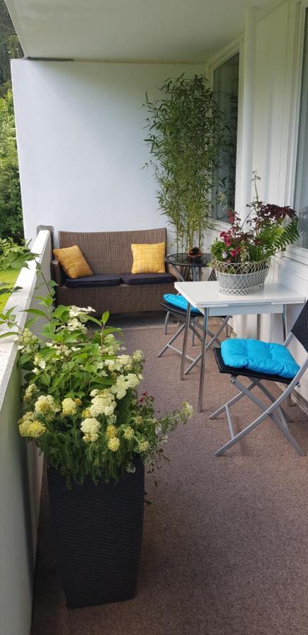 Grossdorf Ferienwohnung Waldsuite Im Harz Goslar Eksteriør billede